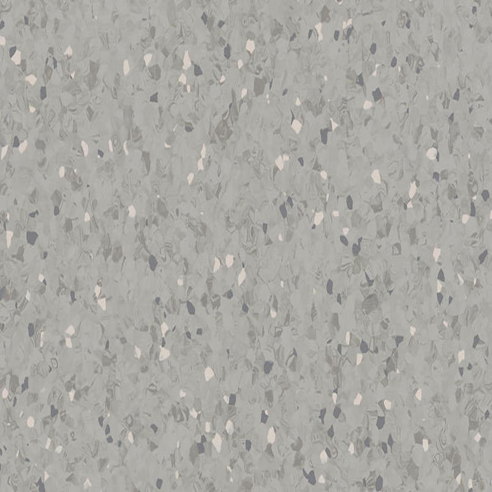 Silver Fox 0600