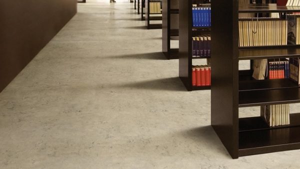 Harmonium xF-Veneto Acoustiflor