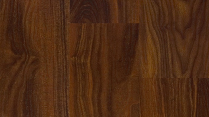 Exotic Wood Cex Queensland Walnut 3310