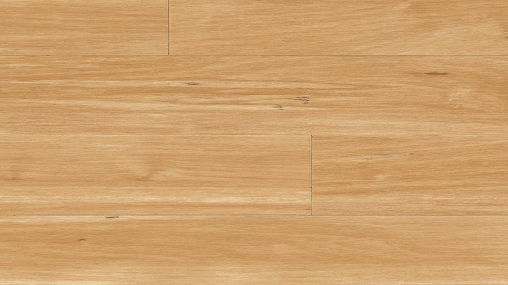 Latitudes Brazilian Maple