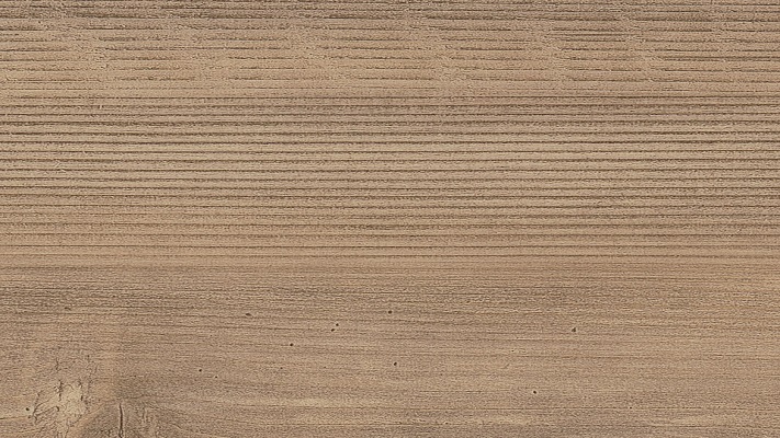 Native Pine Saratoga