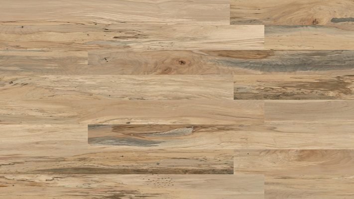 Spalted Candlelight 4524