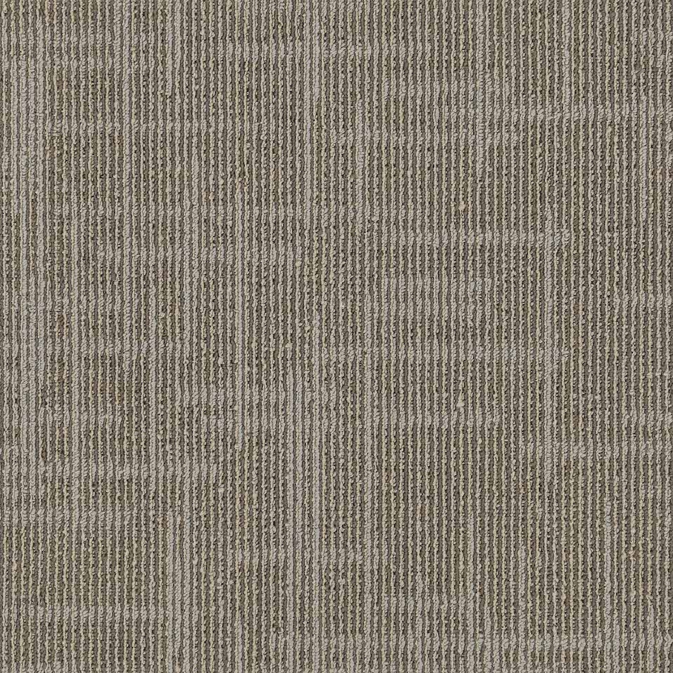 Sand Dune 879 011