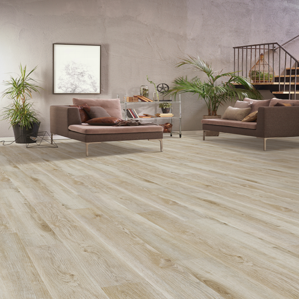Driftwood 547307