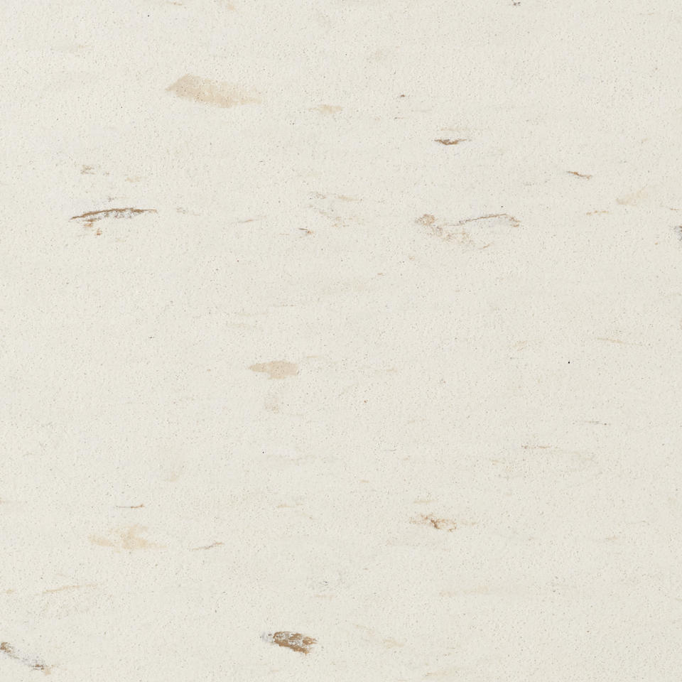 IN STOCK! 1913 Sand Dollar
