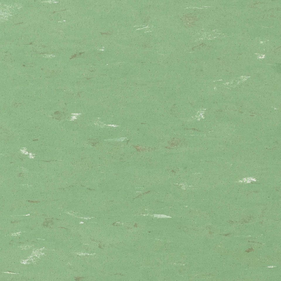 1298 Clover