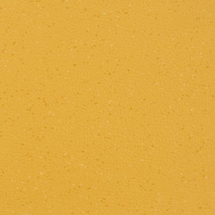 VH4 Golden Flash