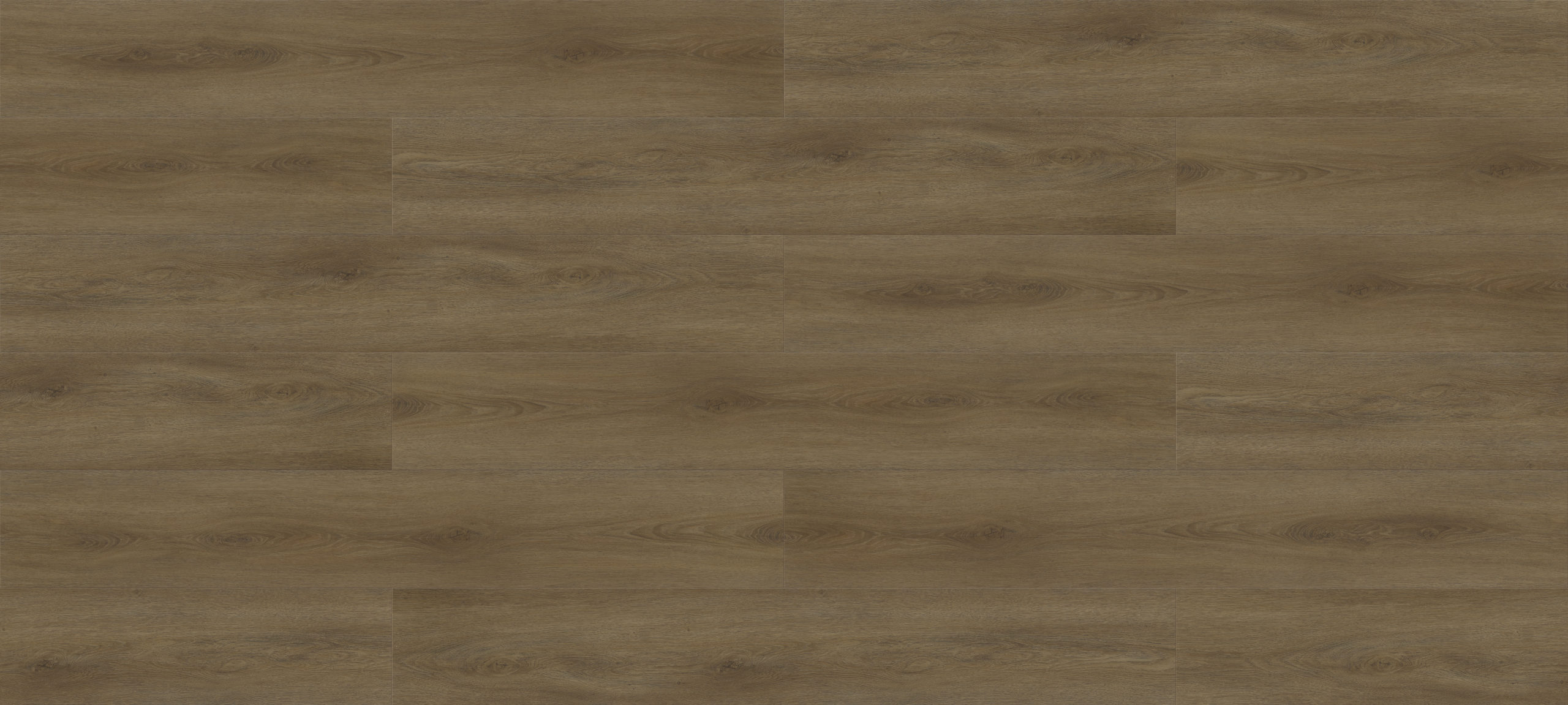 Chestnut PTP1219
