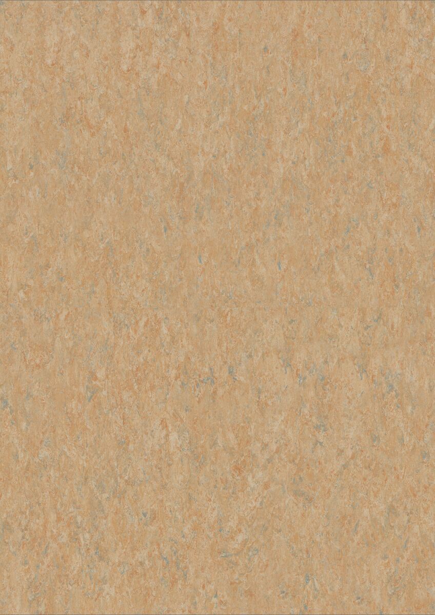 Veneto Camel 616