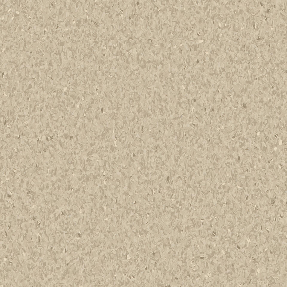 Warm Sand 0467