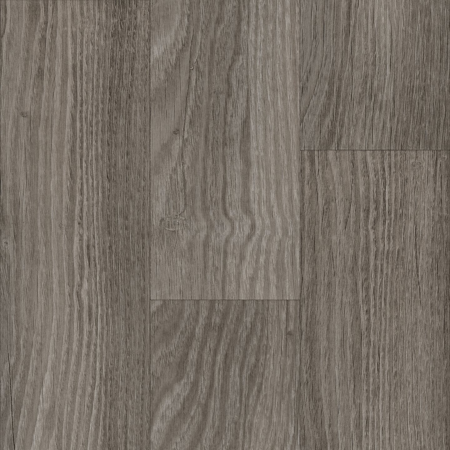 IN STOCK! American Chestnut, Cloud 45011