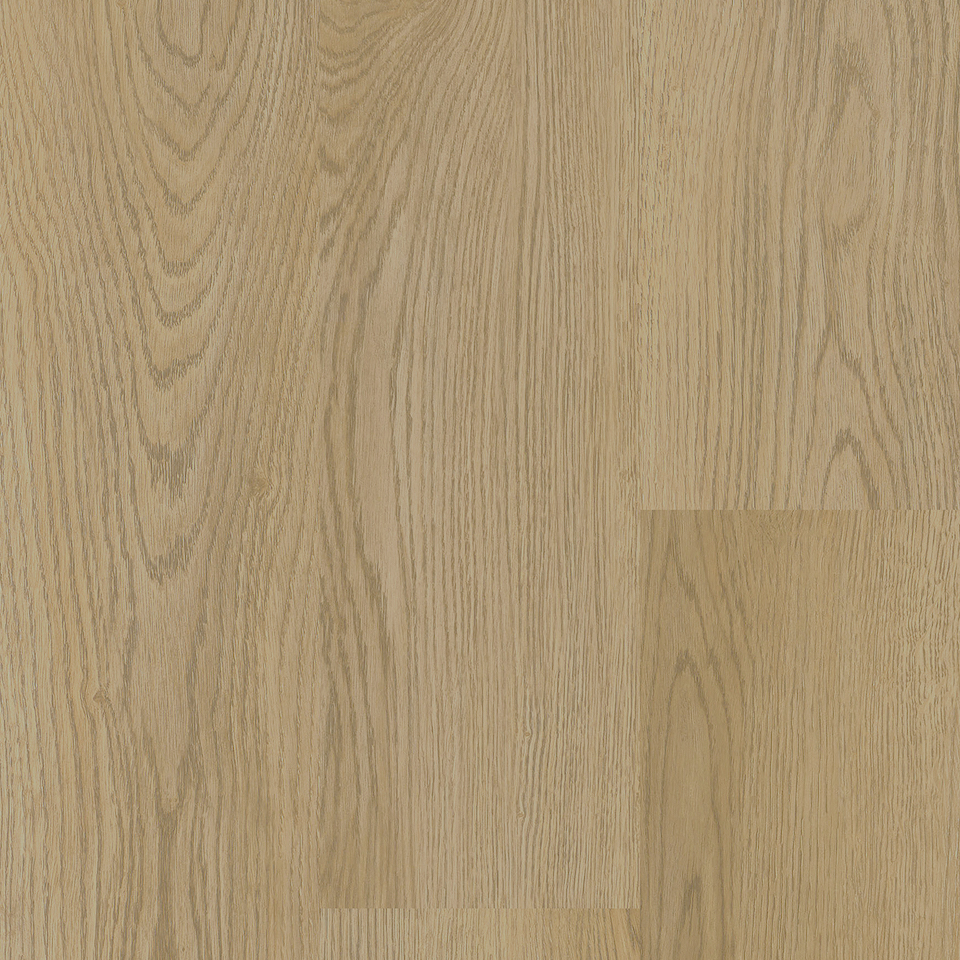 IN STOCK! Classic Oak, Gold 270259013