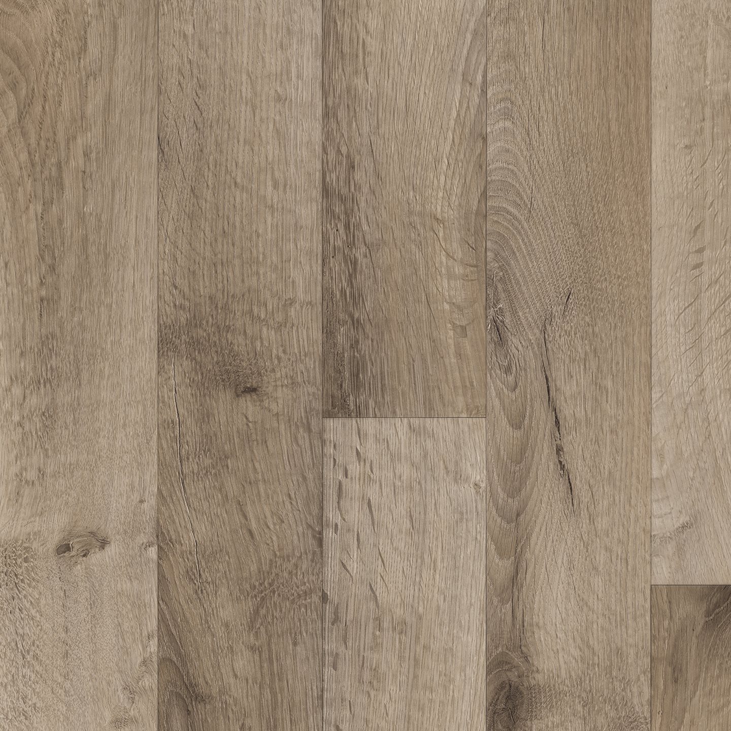 Berkshires Oak, Buff 21082