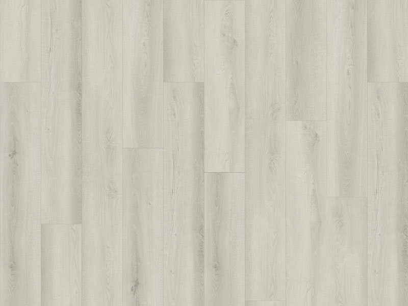 Canoe AP149CN