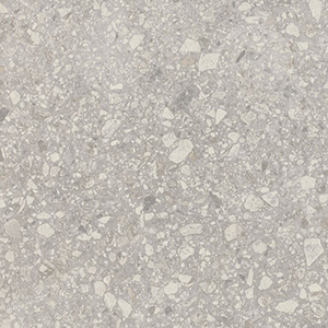Lunar Rock 7544
