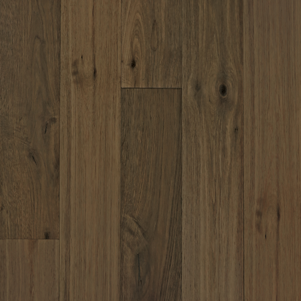 Laurent Plank 14825