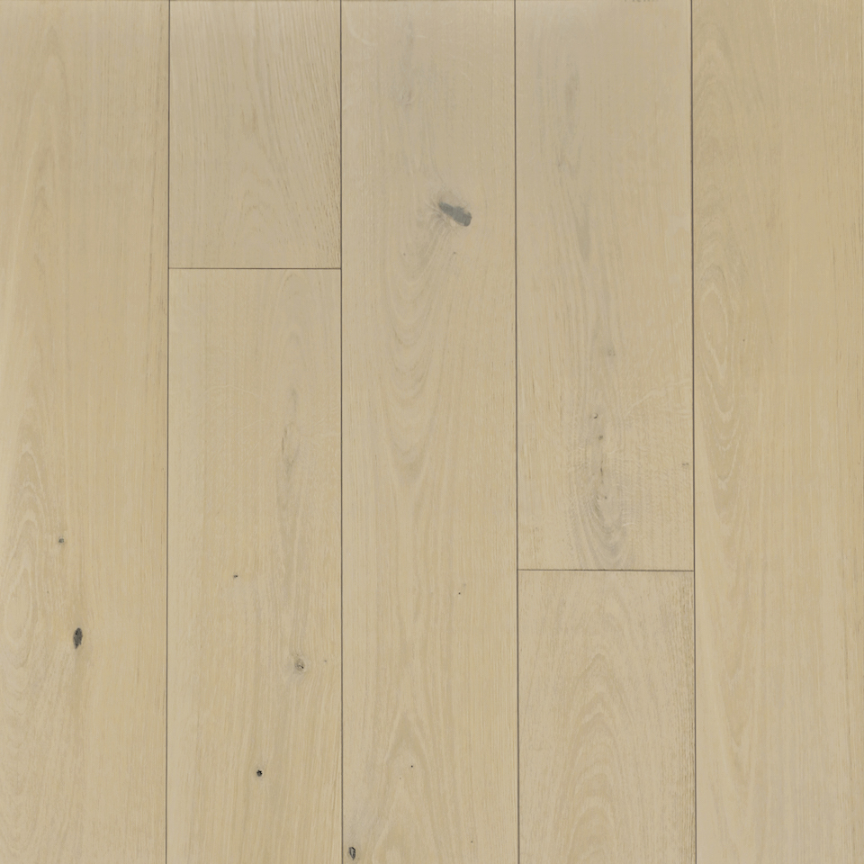 Vienne Plank 14824